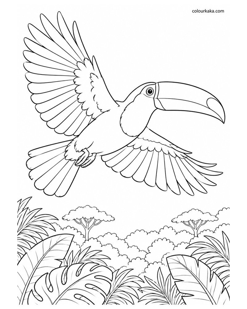 Toco Toucan Flying Across the Jungle Colouring Page thumbnail