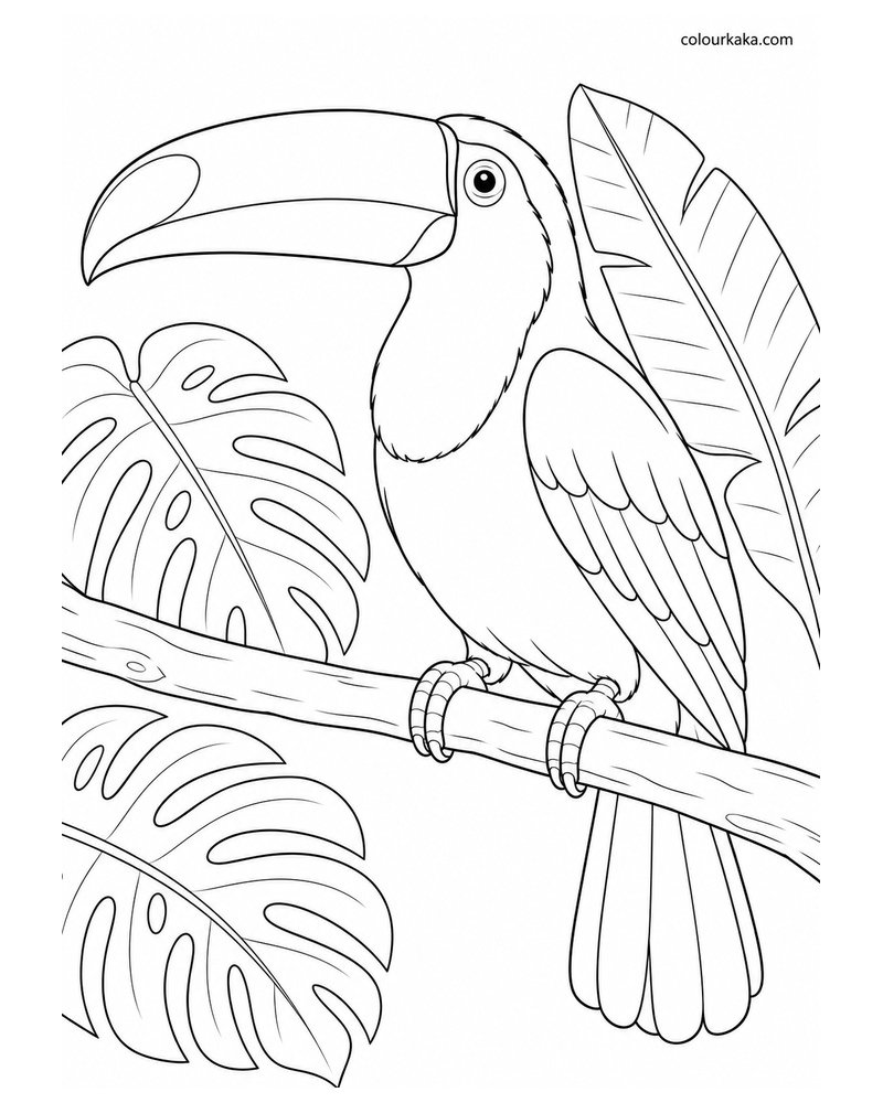 Toco Toucan Resting Near Large Tropical Leaves Colouring Page thumbnail