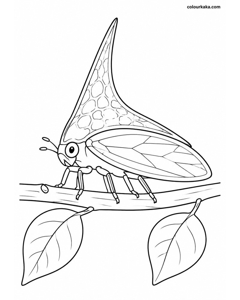 Treehopper Twig Colouring thumbnail