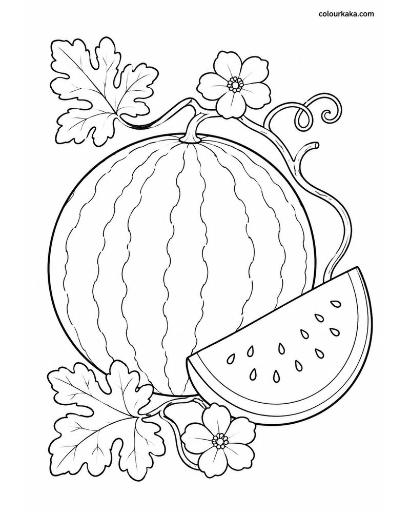 Watermelon Summer Colouring thumbnail