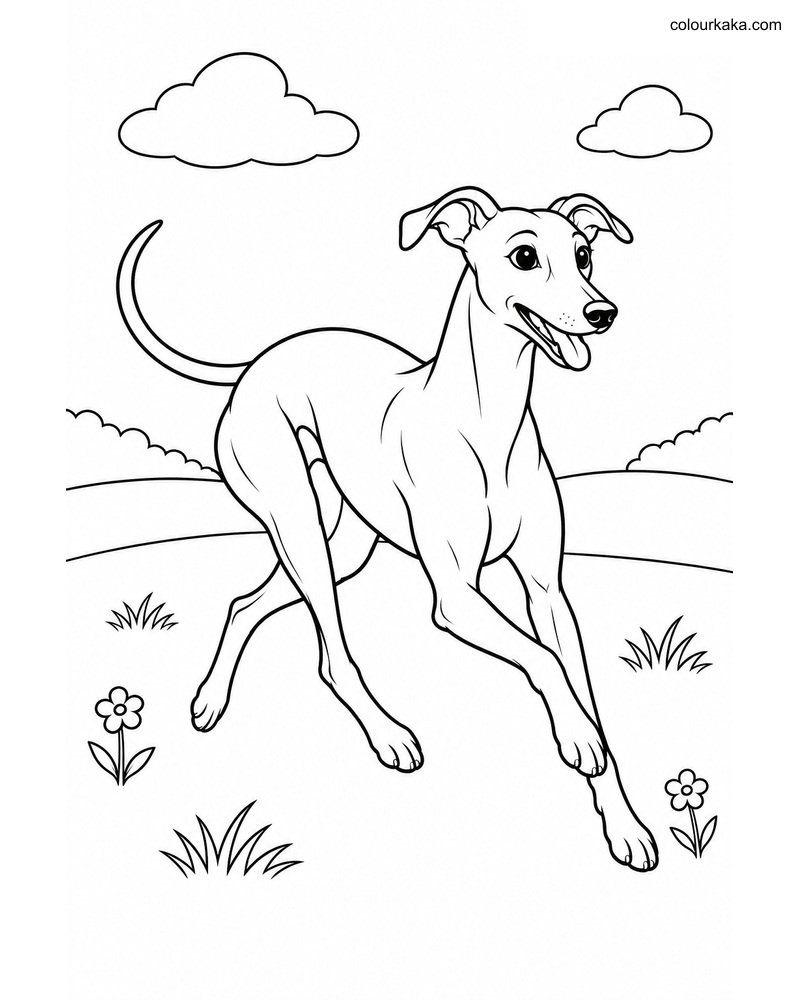 Whippet Dog Colouring Page thumbnail
