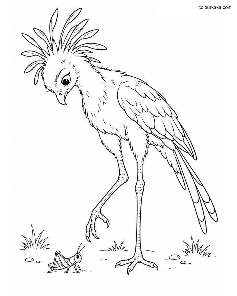 Young Secretary Bird Hunt Page thumbnail