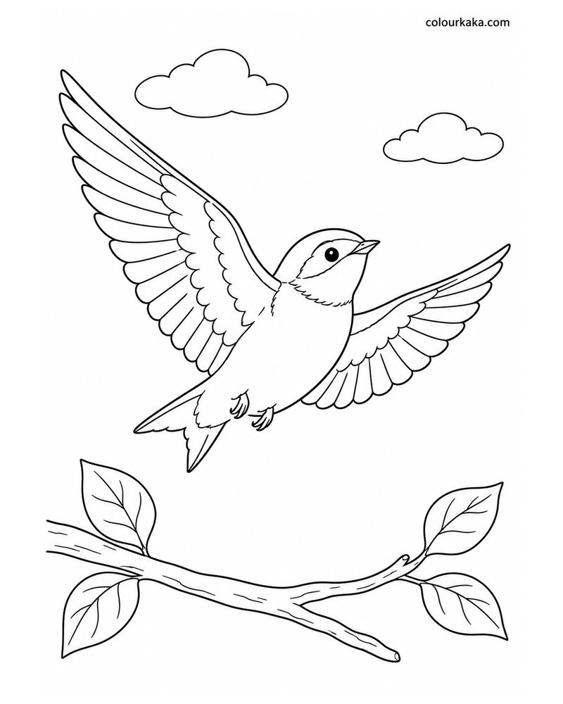 Young Swallow Learning to Fly Colouring Page thumbnail