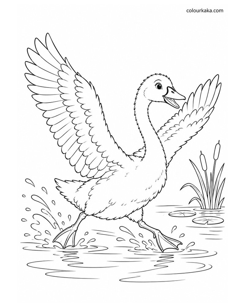 Young Swan Learning to Fly Colouring thumbnail